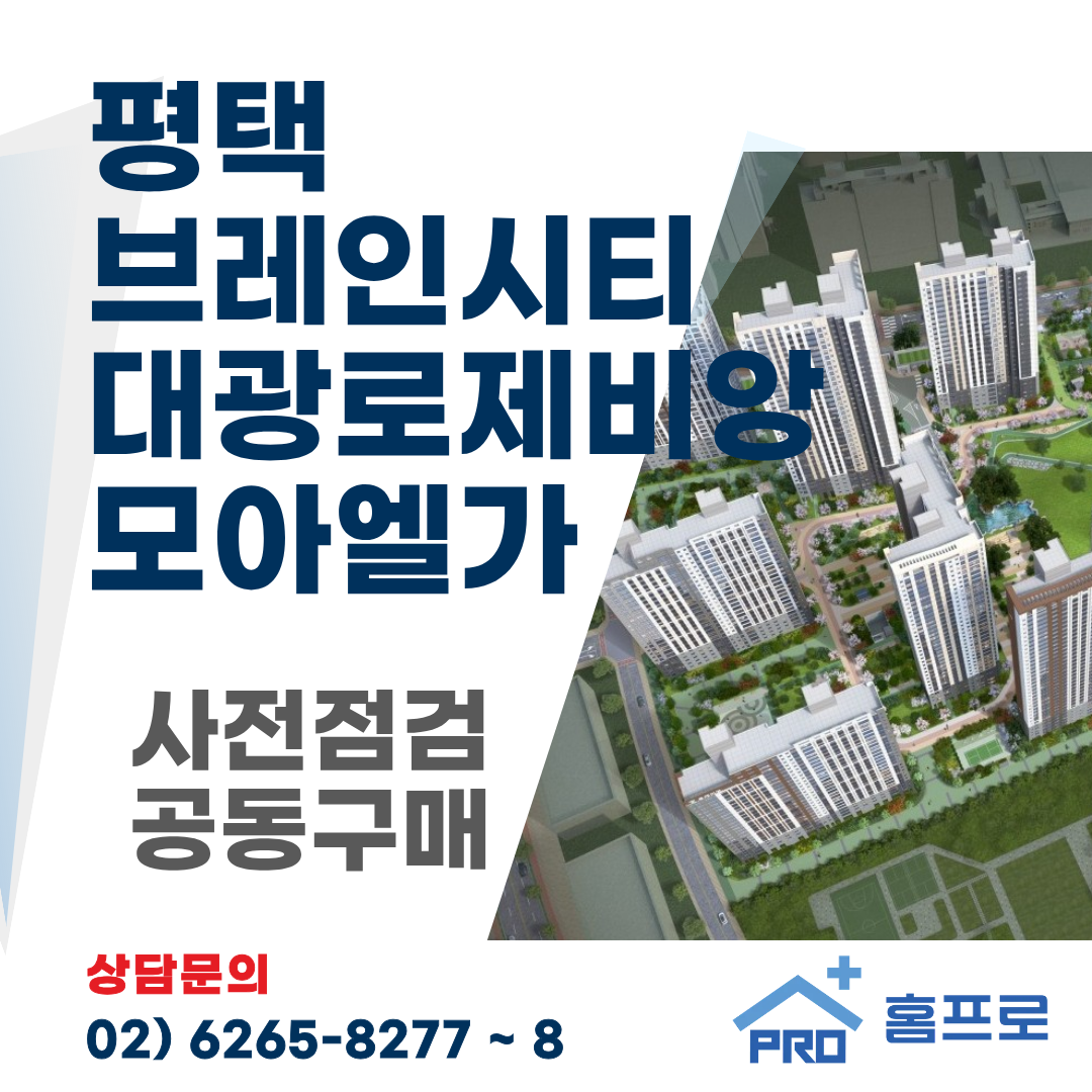 평택 브레인시티 대광로제비앙 모아엘가 사전점검 공동구매